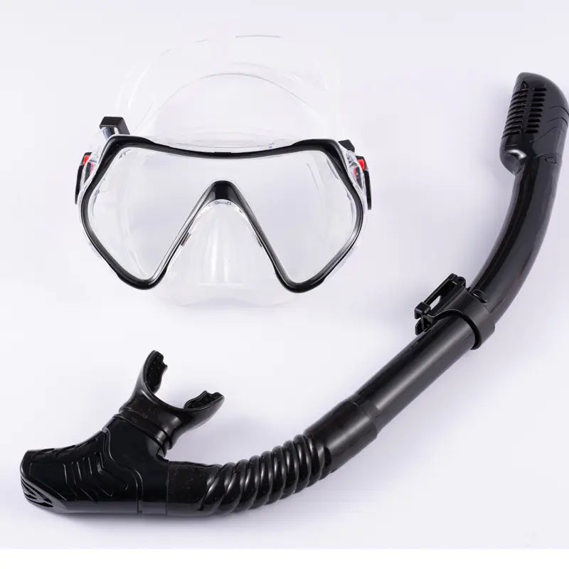 Adult Snorkel Mask and Tube
